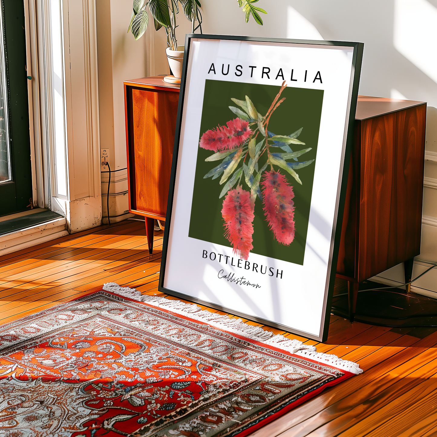 Australian Bottle Brush (Callistemon) Print