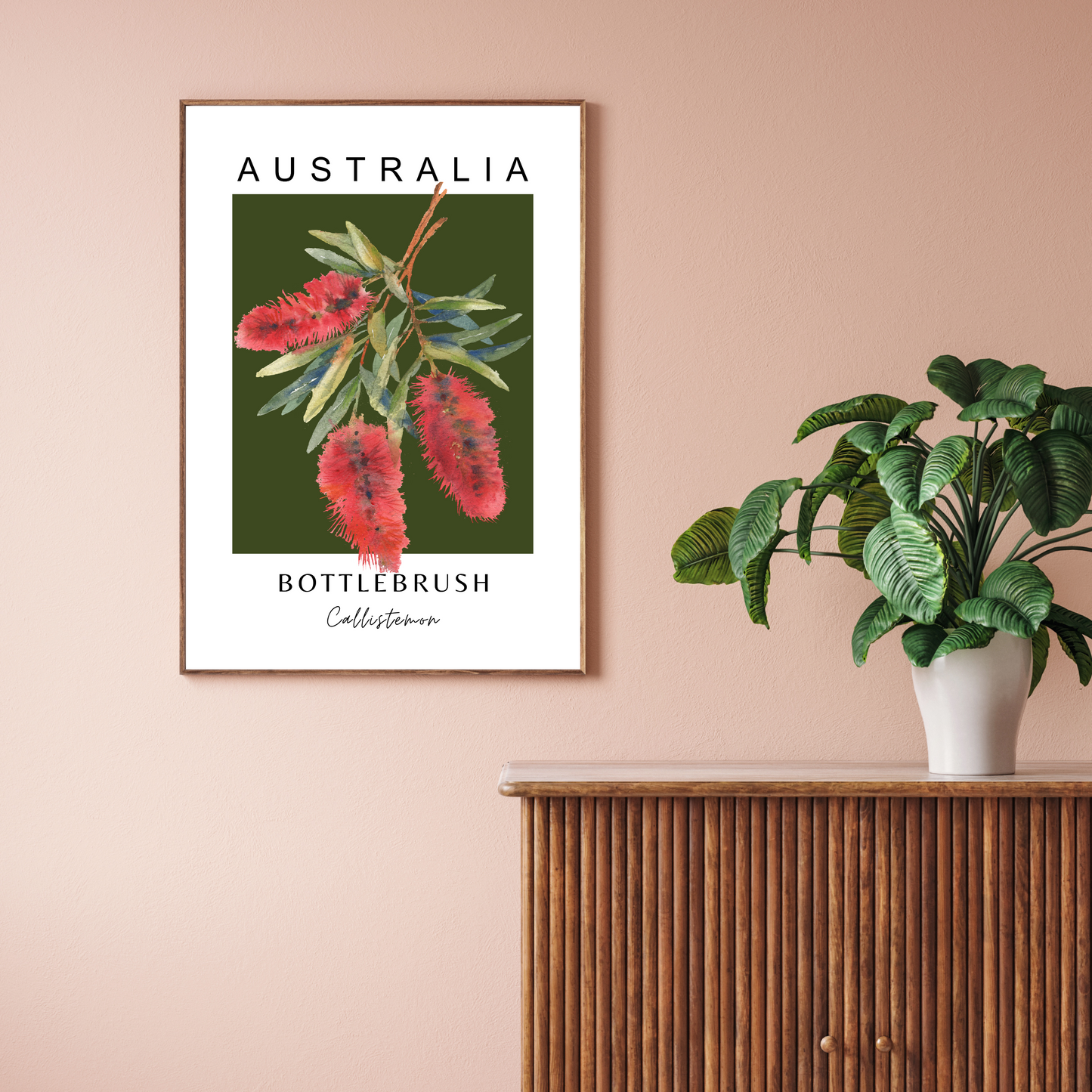 Australian Bottle Brush (Callistemon) Print