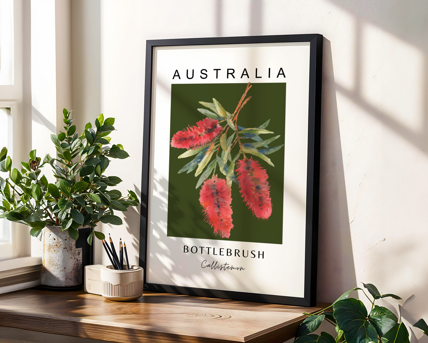Australian Bottle Brush (Callistemon) Print
