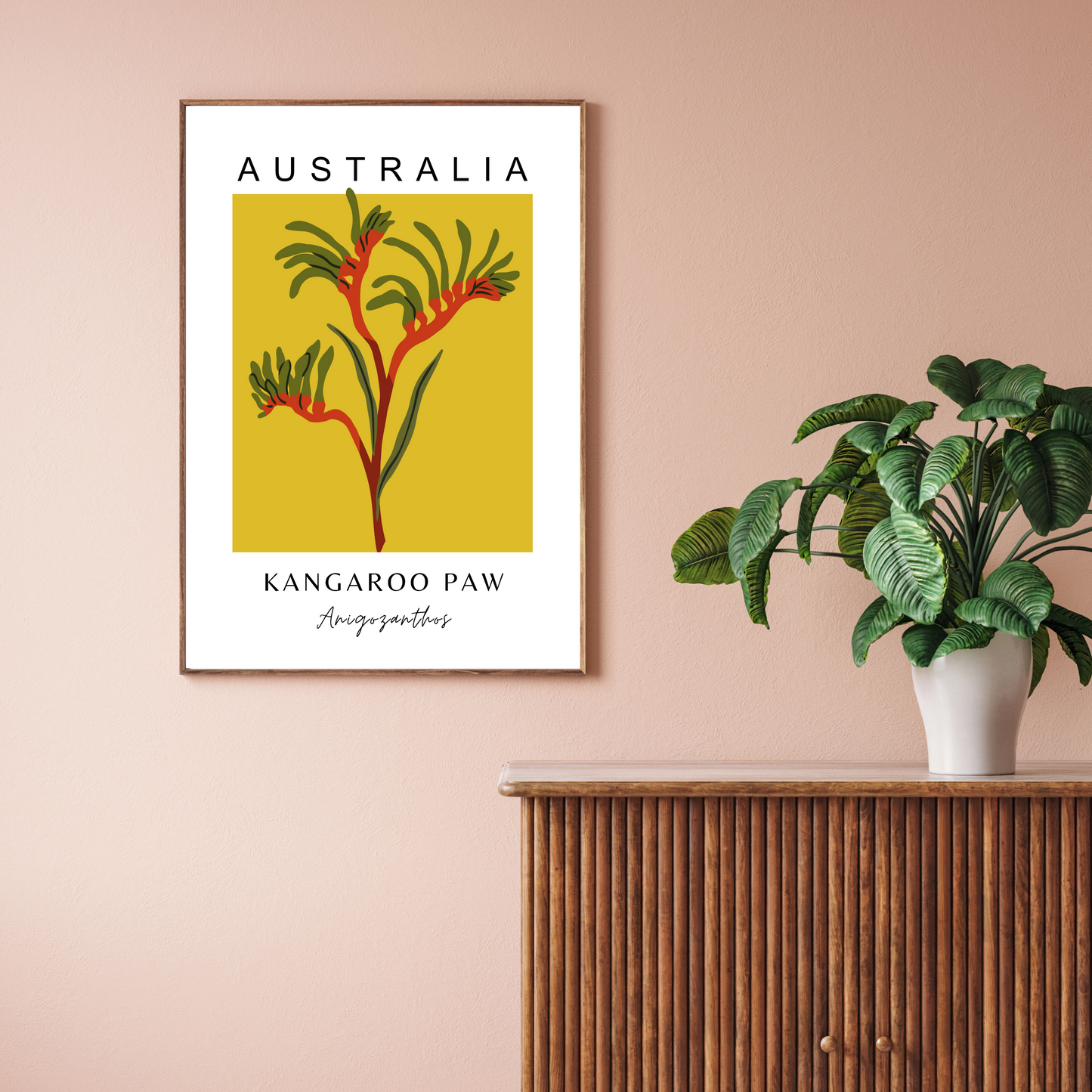 Australian Kangaroo Paw Print