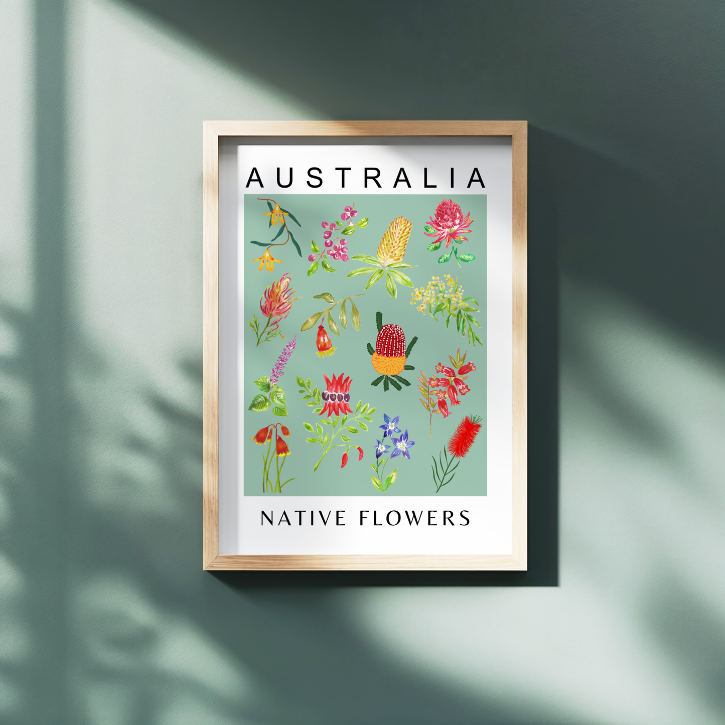 Australian Native Flowers Print