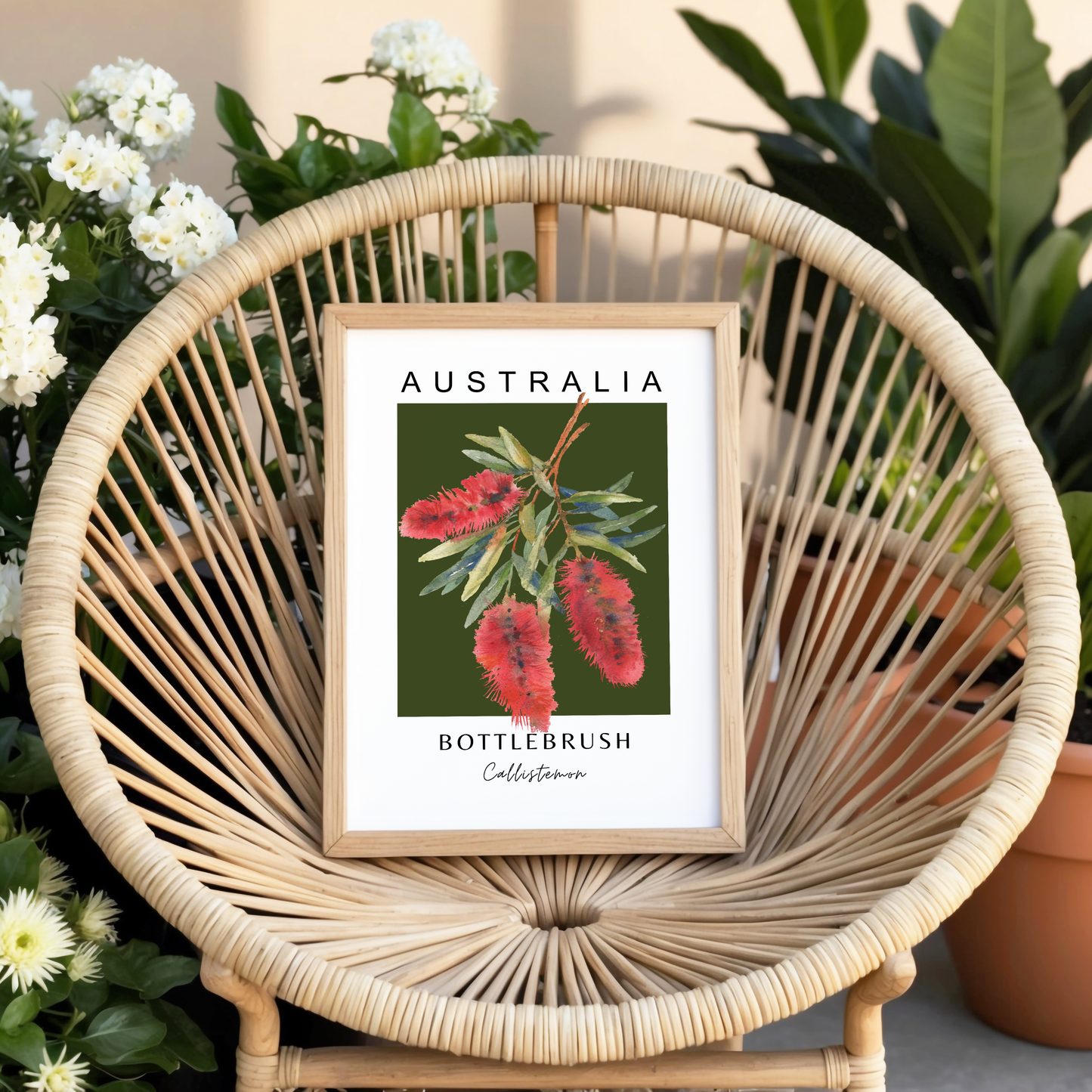 Australian Bottle Brush (Callistemon) Print