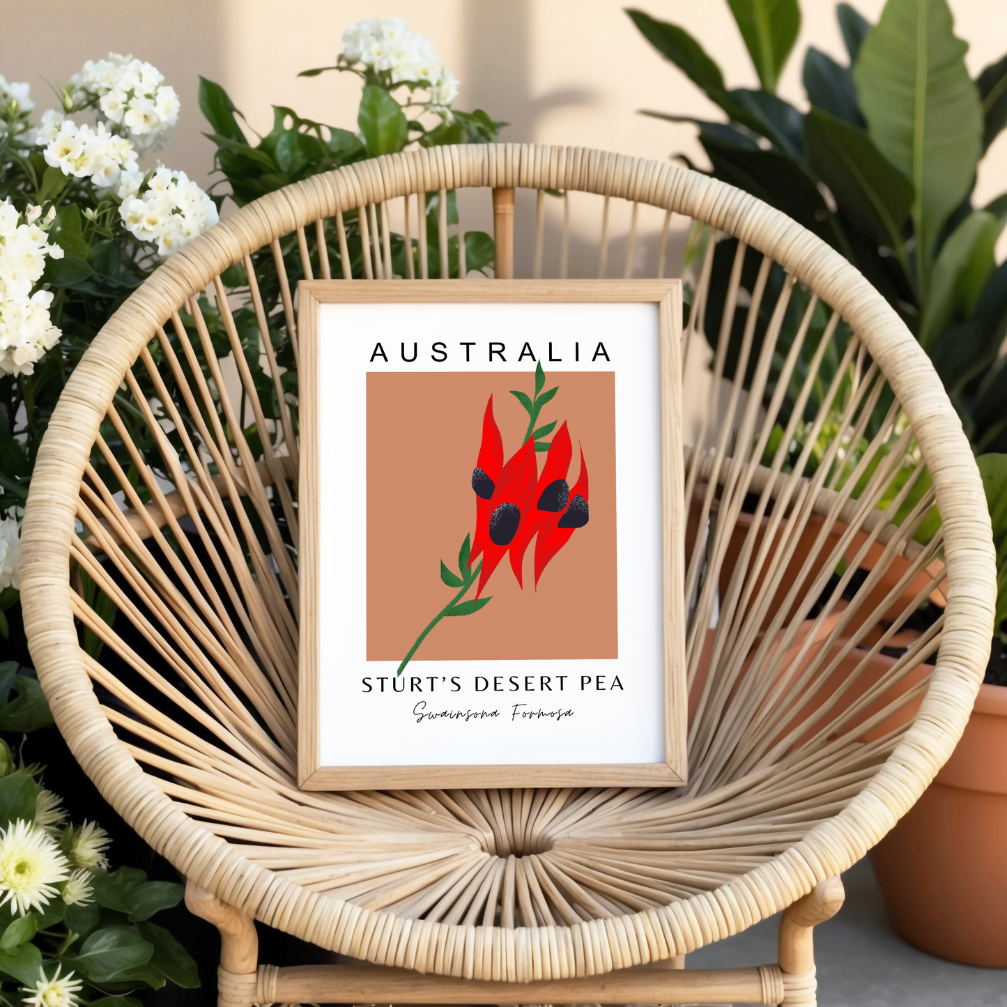 Australian Sturt's Desert Pea Print