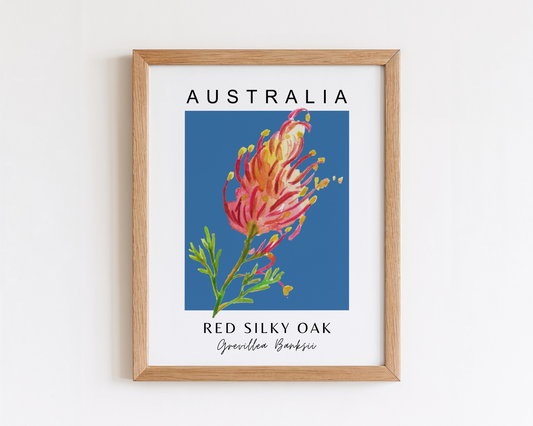 Australian Grevillea Red Silky Oak Print
