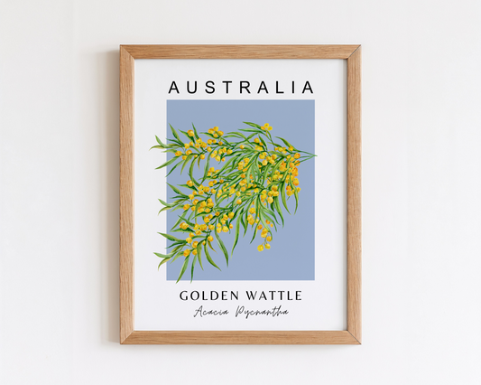 Australian Golden Wattle Print