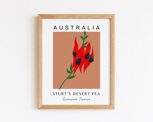 Australian Sturt's Desert Pea Print