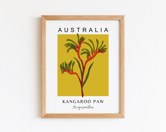 Australian Kangaroo Paw Print