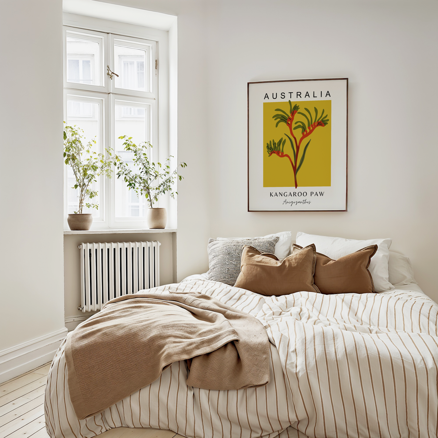 Australian Kangaroo Paw Print
