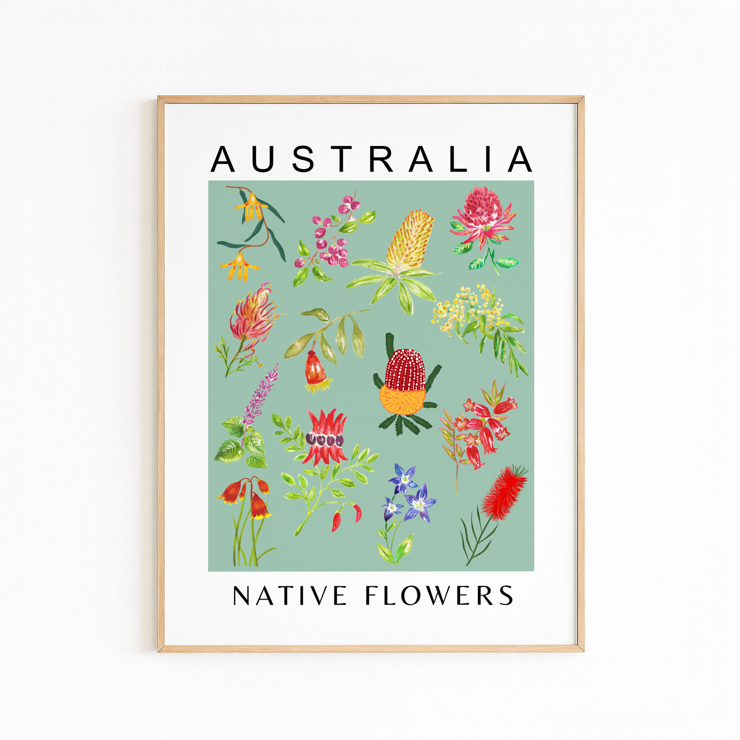 Australian Native Flowers Print