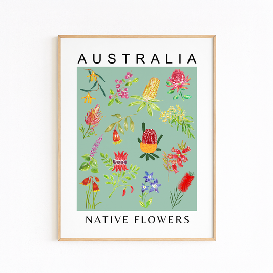 Australian Native Flowers Print