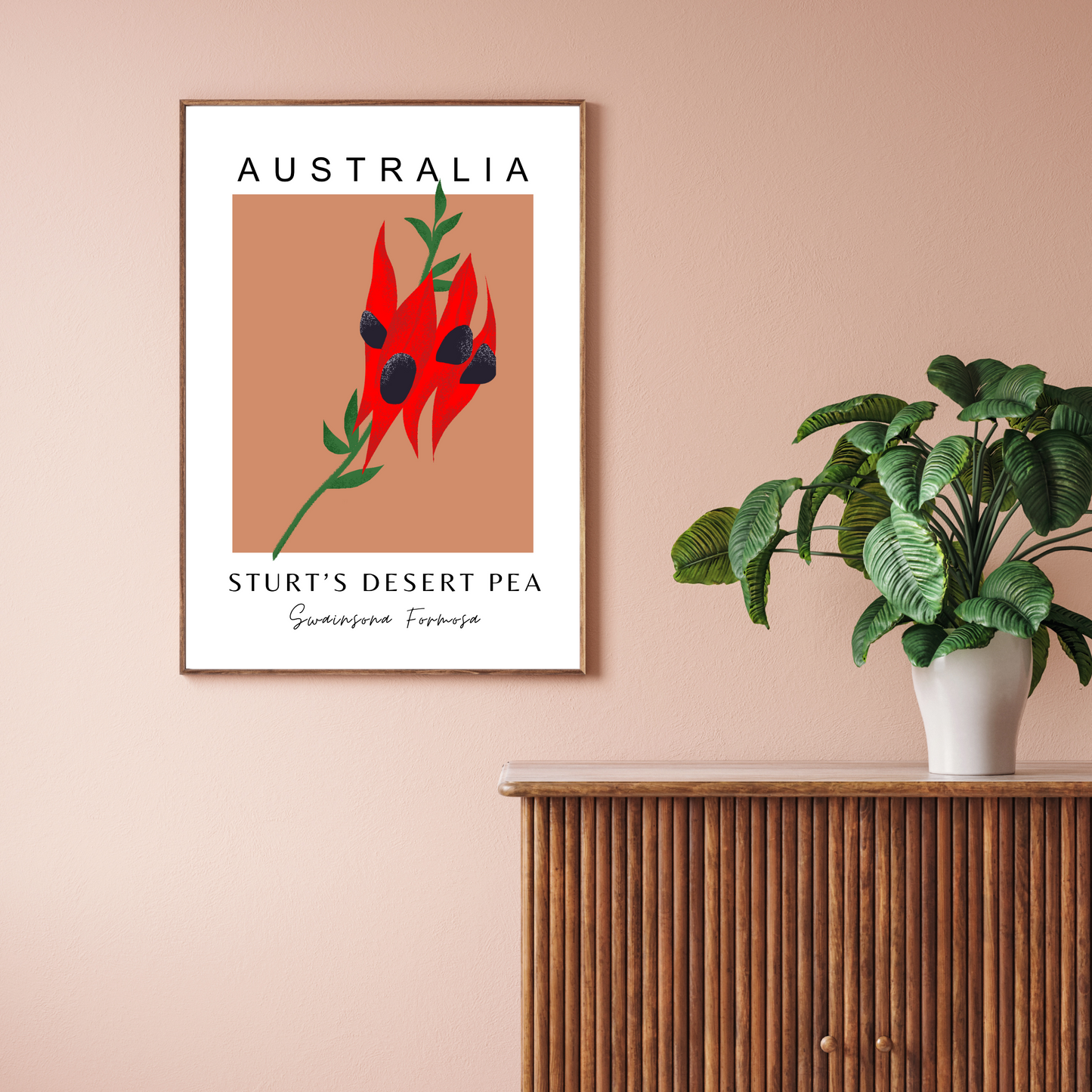 Australian Sturt's Desert Pea Print