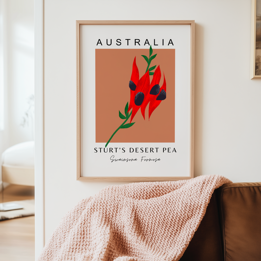 Australian Sturt's Desert Pea Print