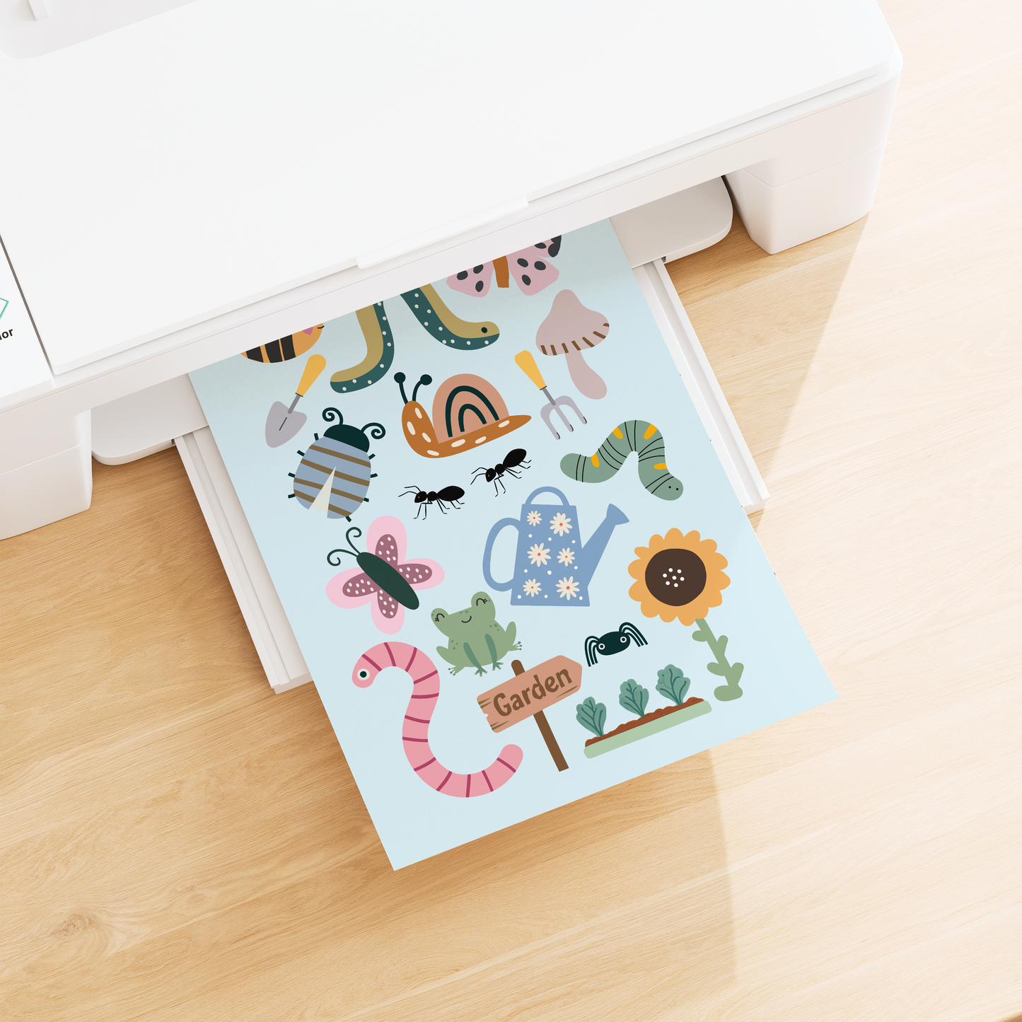 Bug and Insect Poster Print