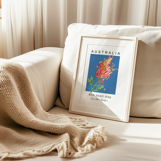 Australian Grevillea Red Silky Oak Print