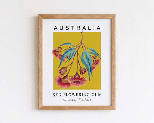 Australian Red Flowering Gum Print