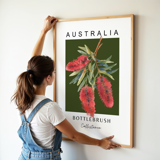 Australian Bottle Brush (Callistemon) Print