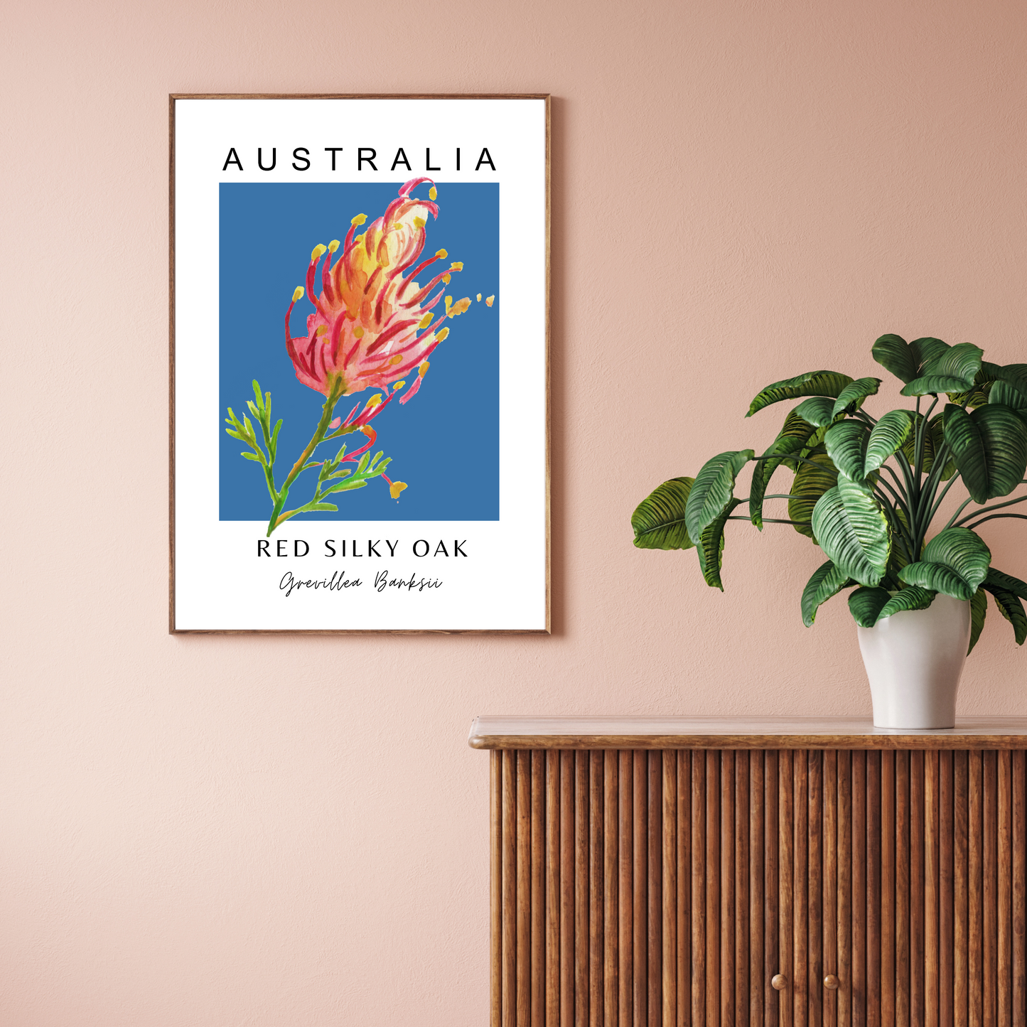 Australian Grevillea Red Silky Oak Print